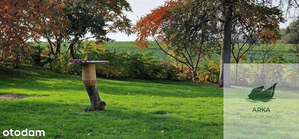 Urokliwy dom z duszą i dużą działką-15