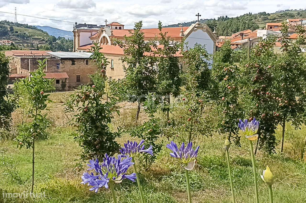 Quinta do Mosteiro de Salzedas com mais 17 ha e património histórico-57