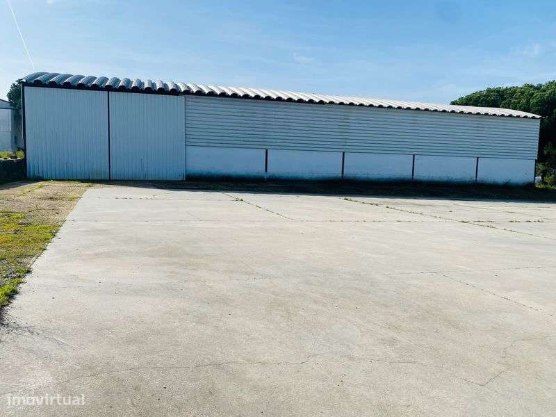 Arrendo pavilhões/eiras - Grande imagem: 4/8