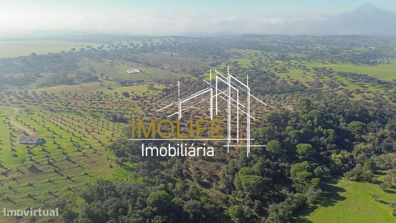 MONTINHO DO CHIADO - MALARRANHA - PAVIA-31