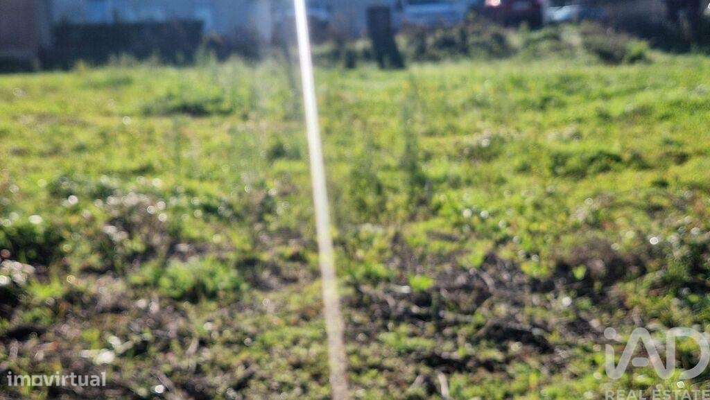 Terreno para construção em Batalha - Grande imagem: 4/25