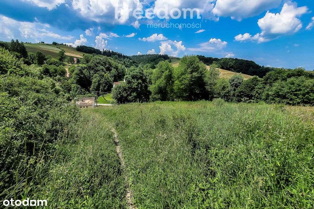Działka rekreacyjna w malowniczej okolicy - Pełny obrazek: 5/13