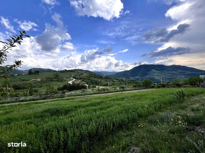 Teren pentru Cabana / ~4000 M2 / In apropiere de Transalpina - Imagine principală: 4/8