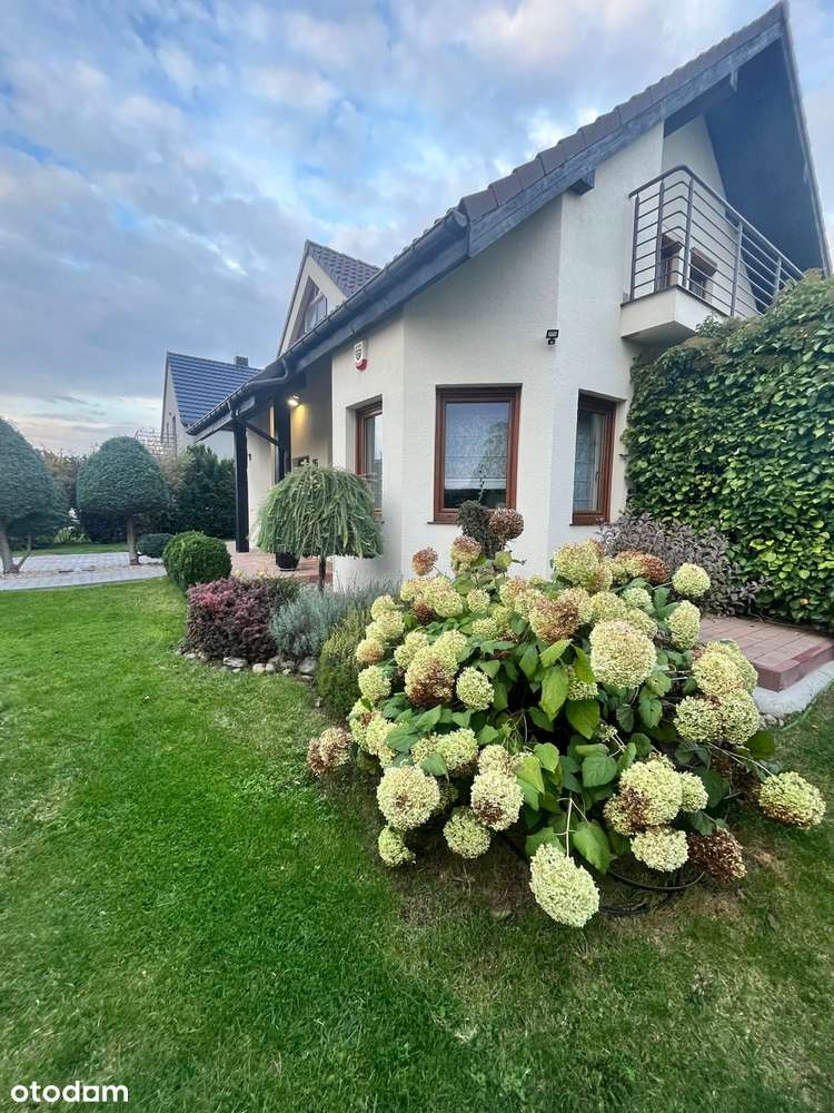 Nieciszów / Ekonomiczny / Piękny Ogród-1