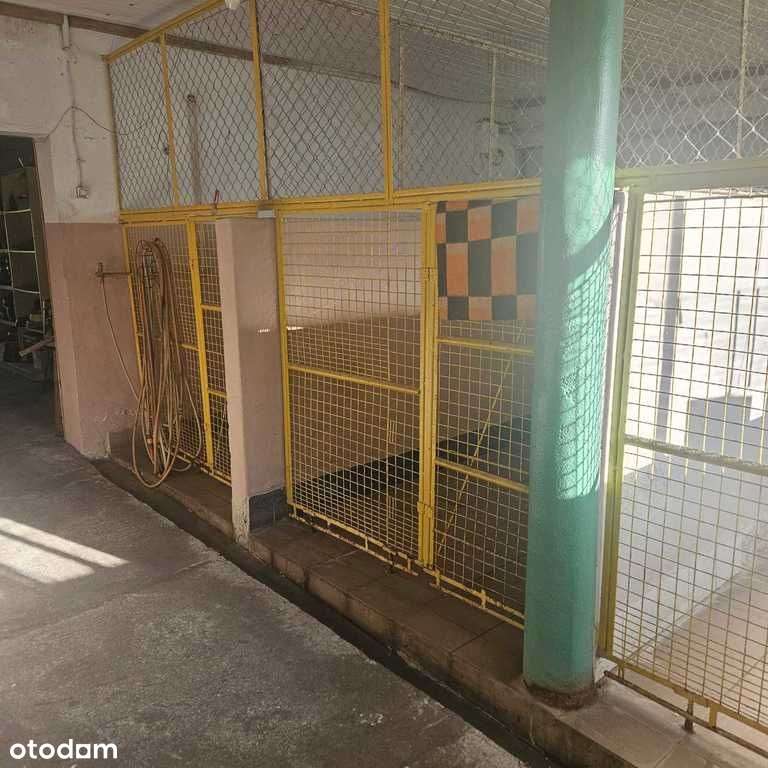 Lokal użytkowy, 1 240 m², Sierakowo-16