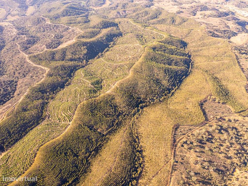 Venda de Terreno Rústico - Saquenibaque, Odemira - Grande imagem: 5/13