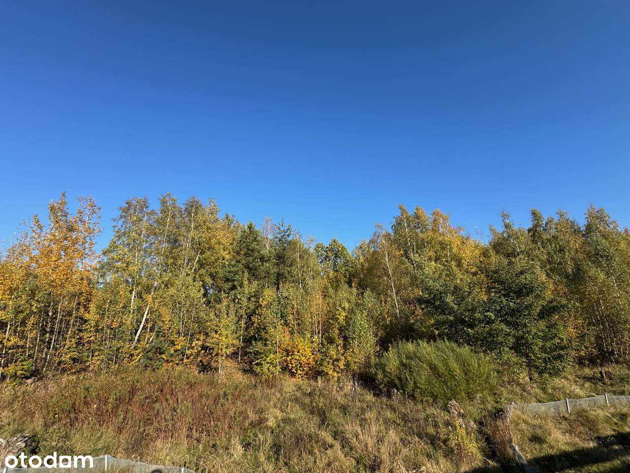 Działka PU przy drodze serwisowej trasy S8. Żabia Wola-3