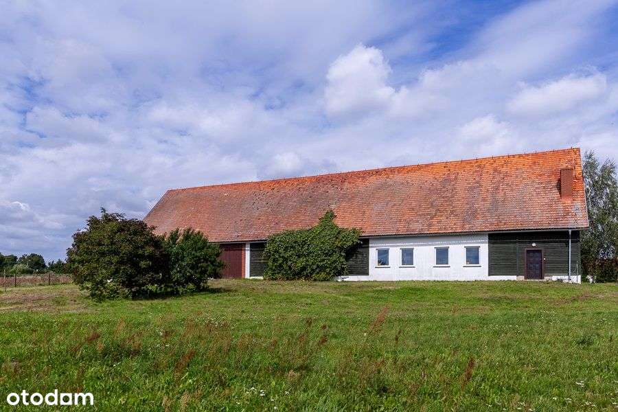 Duża działka +budynek - Stadnina Koni - Pełny obrazek: 2/20