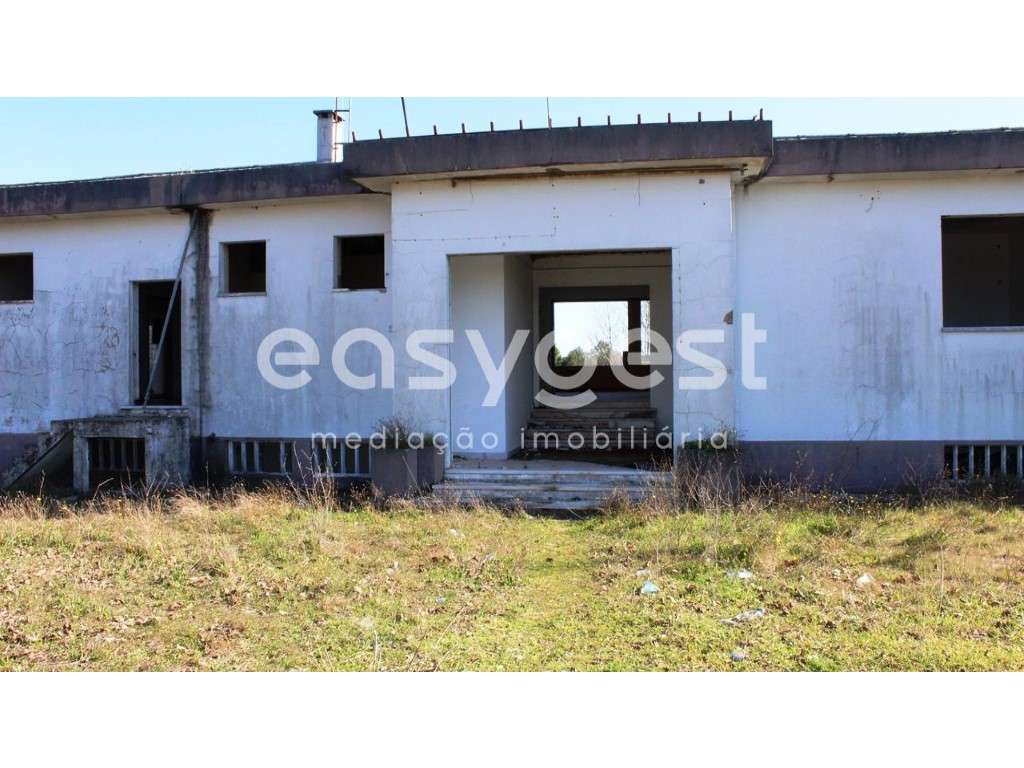 Quinta com projeto de recuperação e vista para a cidade de Abrantes - Grande imagem: 5/41