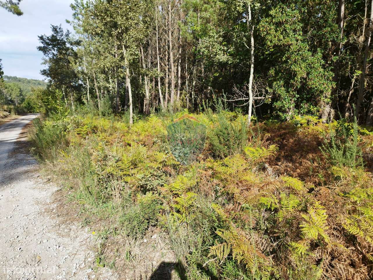 Terreno  Venda em São Pedro de France,Viseu - Grande imagem: 4/17