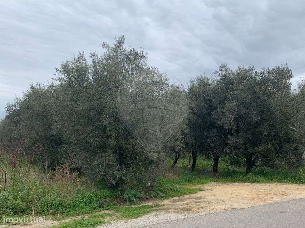 Terreno  para venda - Grande imagem: 5/7