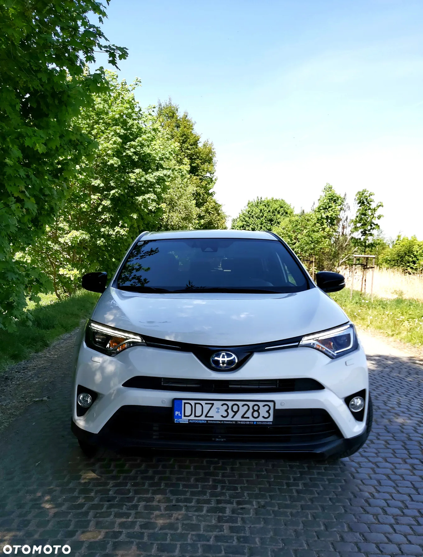 Toyota RAV4 - 17