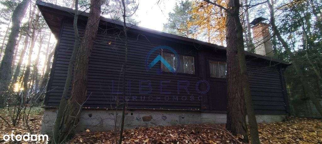 Dom w lesie dla 2 rodzin/ przyjaciół-6