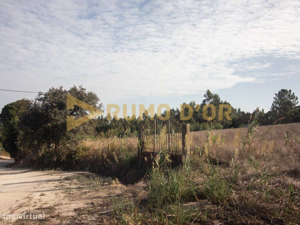 Terreno Misto - Surraipas, Freguesia de Olhalvo (Alenquer) - Grande imagem: 5/9