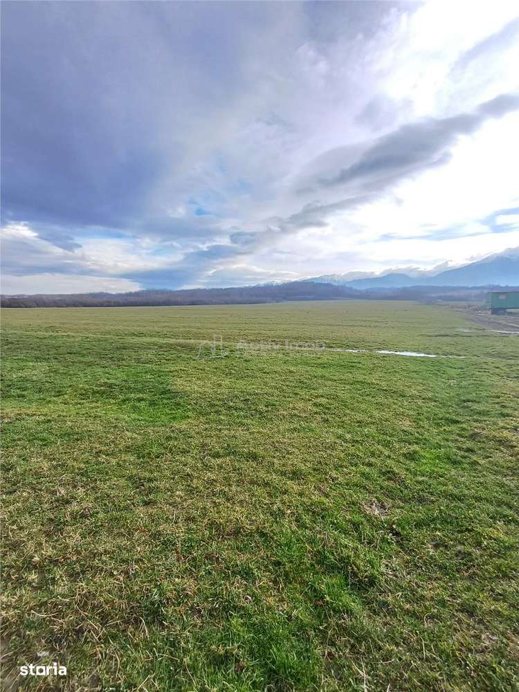 Teren de vanzare la iesire din Racovita-4