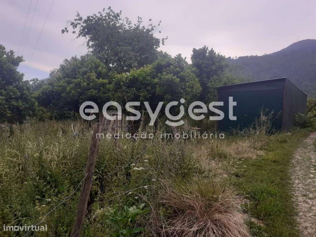 Fantástico Terreno com, localizado na freguesia de Castelões - Grande imagem: 5/17
