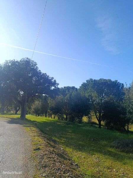 Vendo Quinta 8785m2 Urbano Foz Bembosta - Grande imagem: 5/12