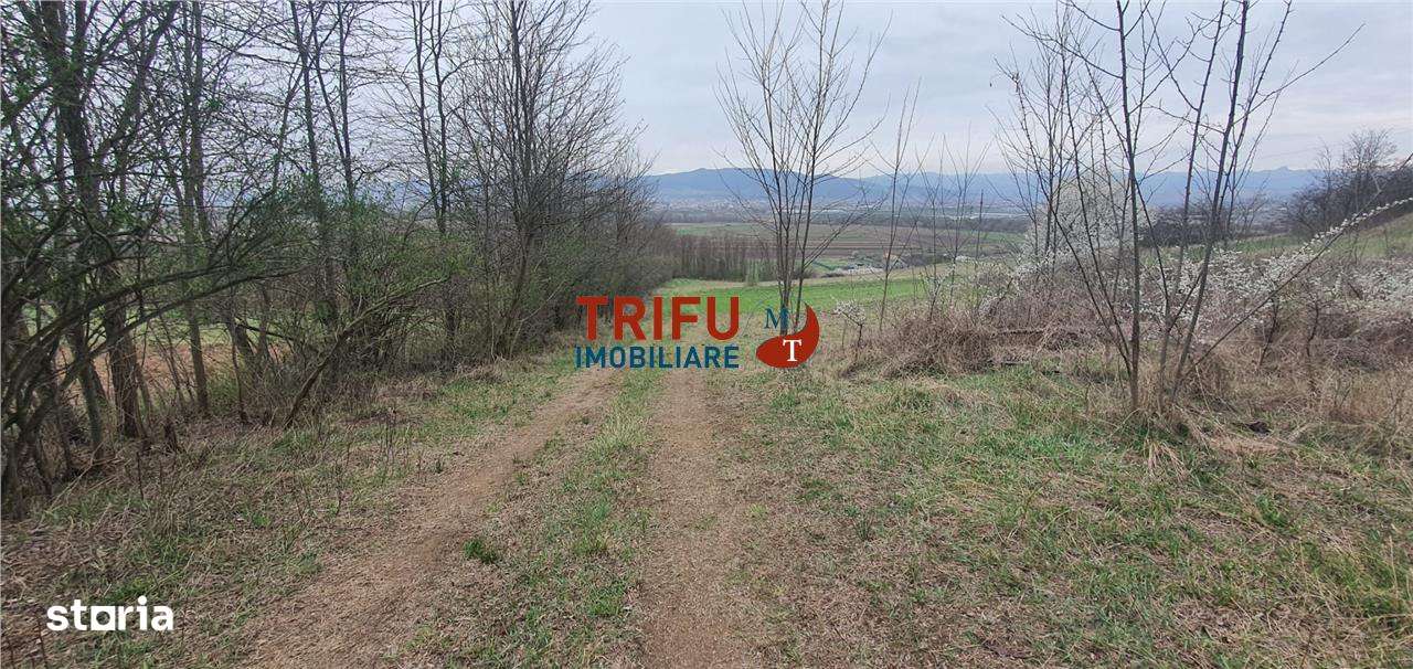 Teren de vanzare zona Ciugud - Imagine principală: 4/12