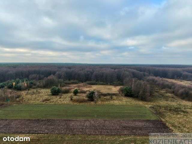 Działka budowlana Chinów-8