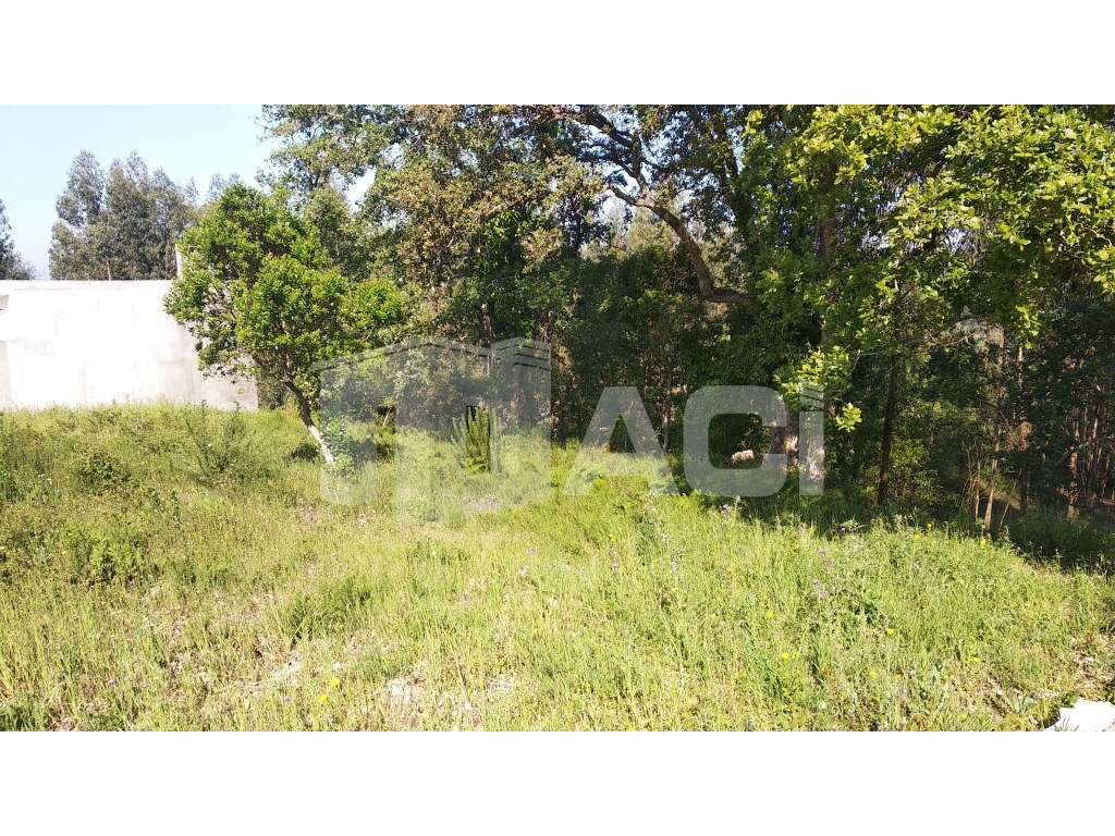 LOTE MORADIA - Olivalzinho, Pousos, Leiria - Grande imagem: 4/6