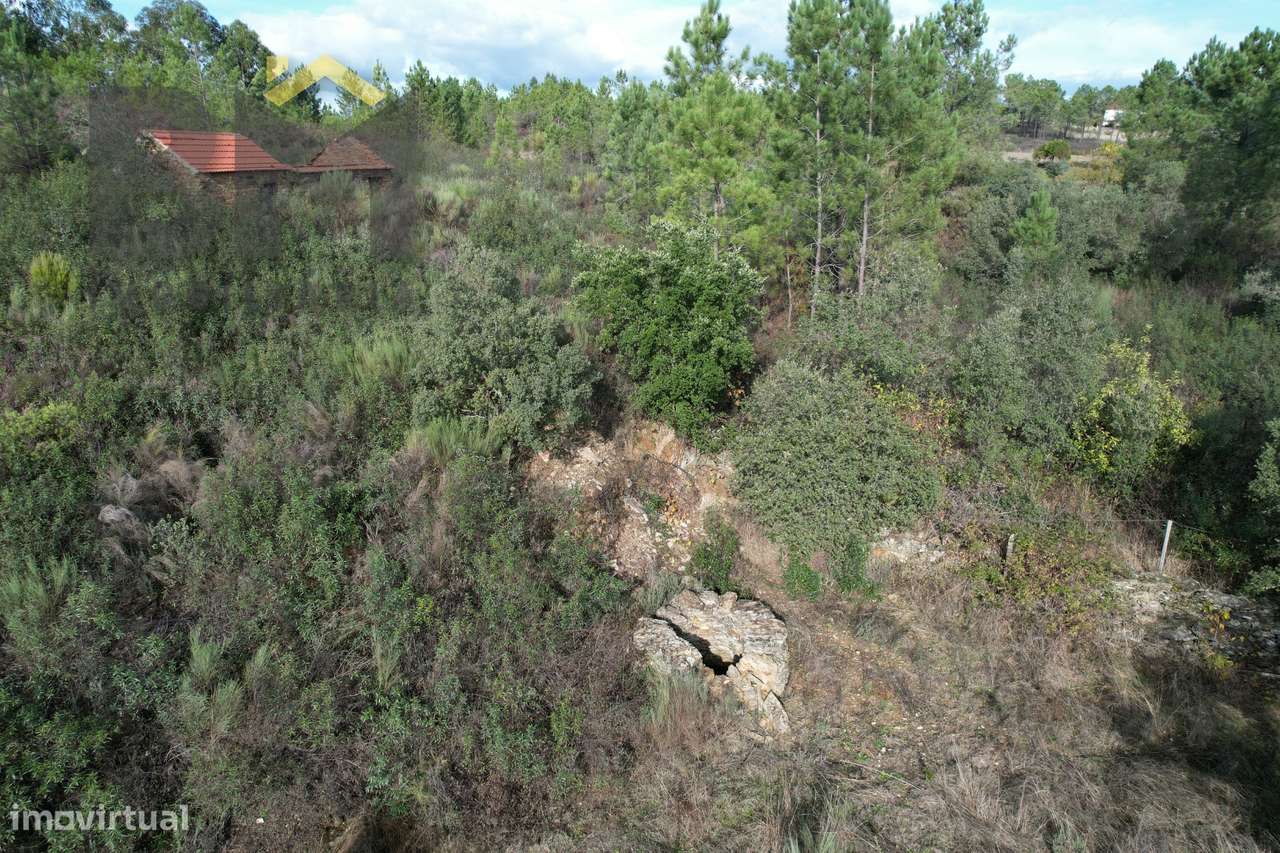 Terreno Rústico  Venda em Sarzedas,Castelo Branco - Grande imagem: 5/11
