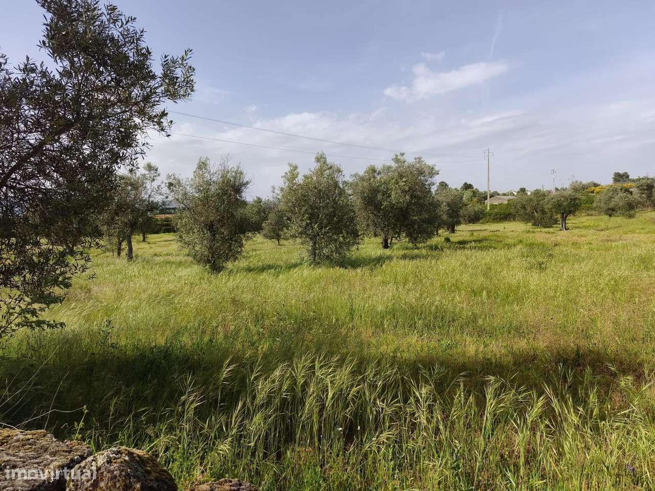 Terreno rustico em castanheira de baixo Peraboa-10