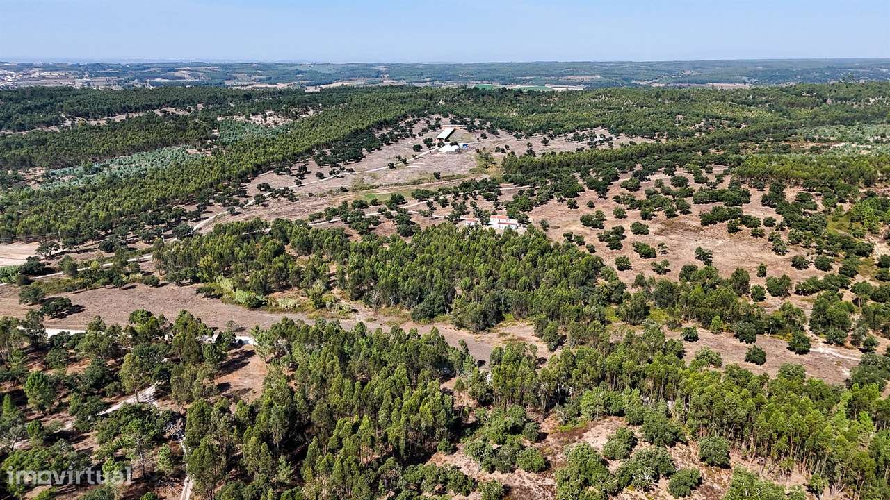 Herdade com total de  140 ha na freguesia da Raposa, Almeirim - Grande imagem: 4/35