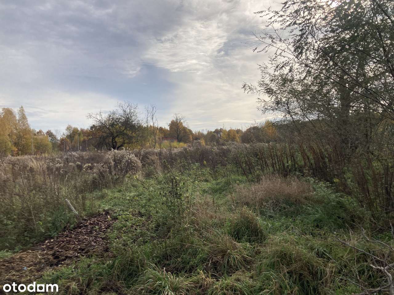 Działka 3960m2 Wołomin róg 1-go maja/ M.Reja-3