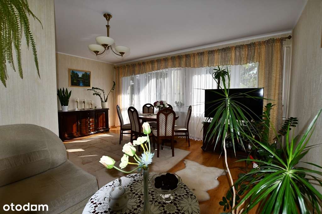 Płock, Powstańców Styczniowych - 60 mkw, II piętro, 3 pokoje-0