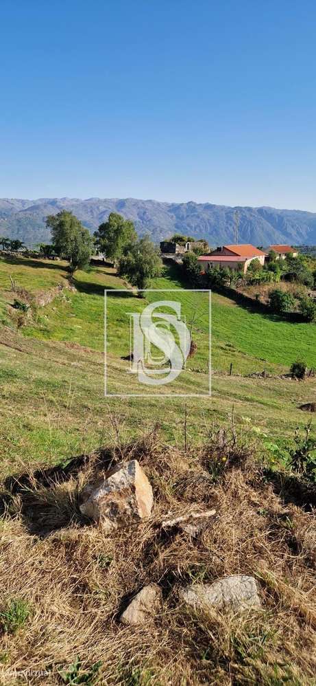 Terreno para venda com possibilidade de construção Espindo/Vieira do M - Grande imagem: 2/2