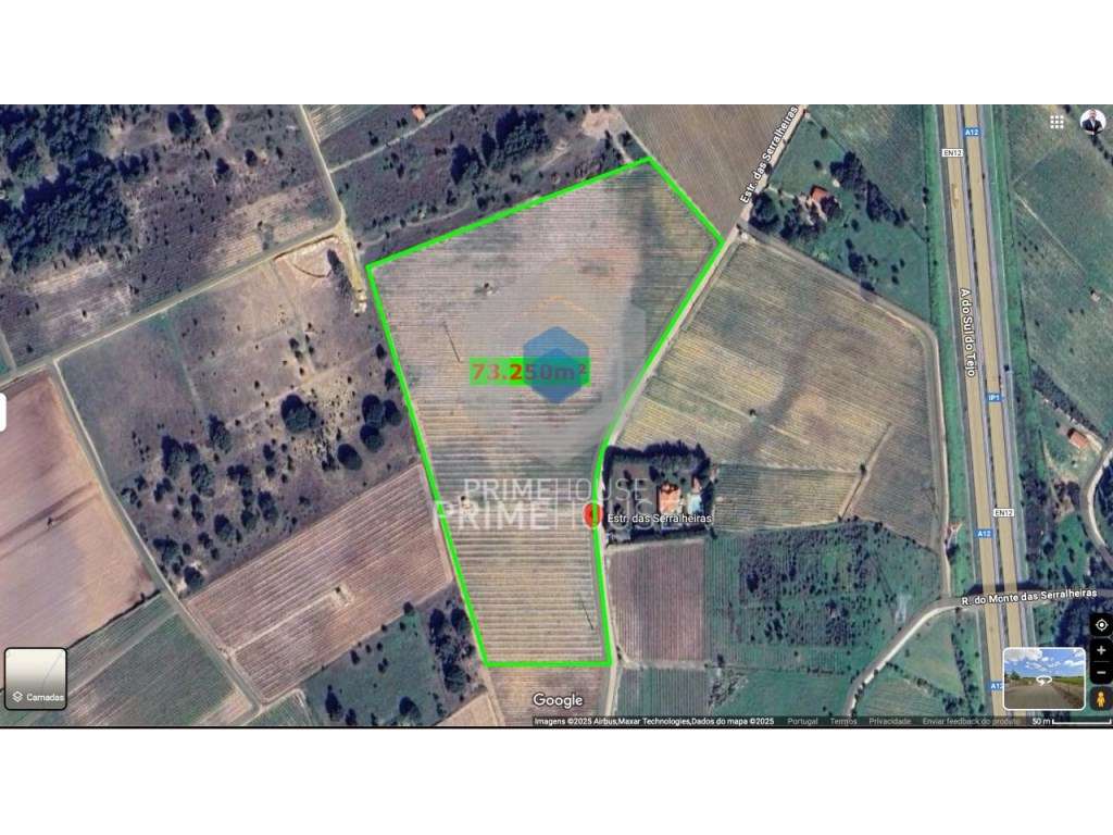 Terreno com vinha de alta qualidade em Palmela - Grande imagem: 3/7