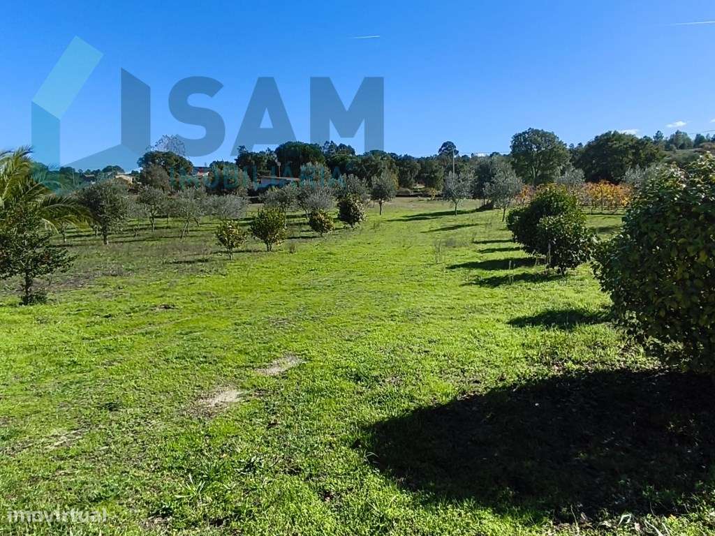 Herdade em Juncais - Fornos de Algodres, Guarda-7