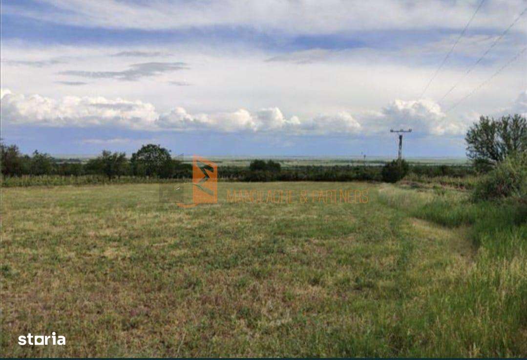 Teren intravilan zona Pietroasele - Imagine principală: 2/5