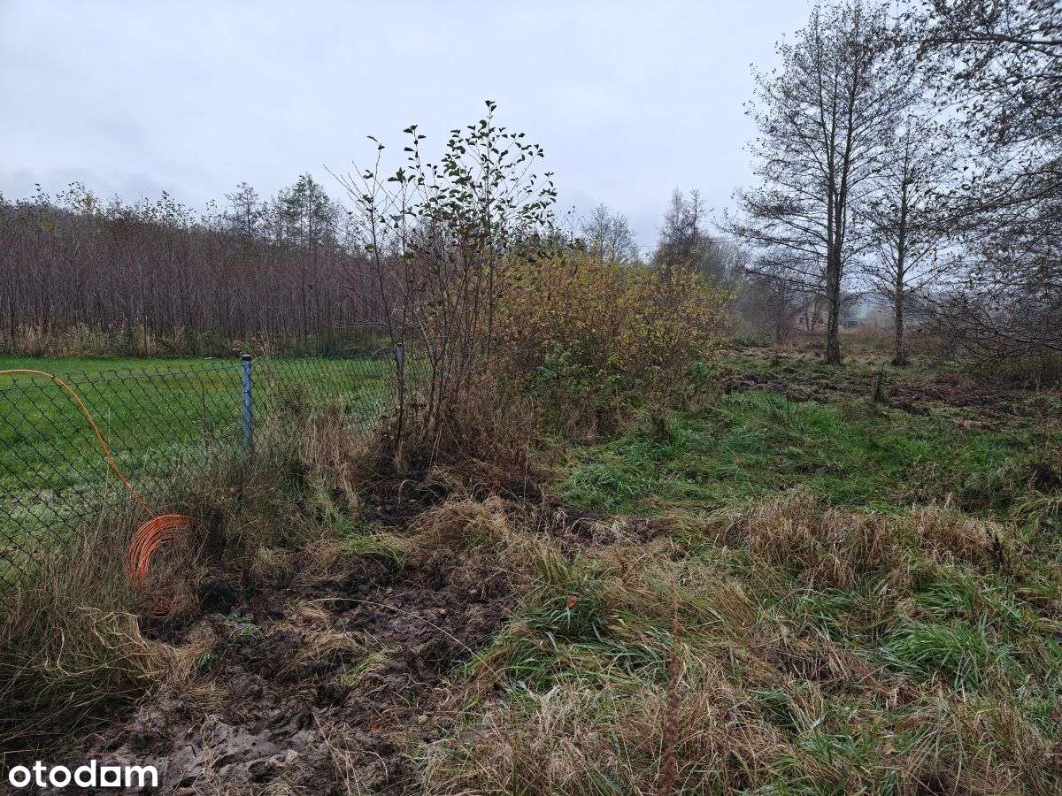 Słoneczna działka budowlana w Sasinie Jarzębinowa-12