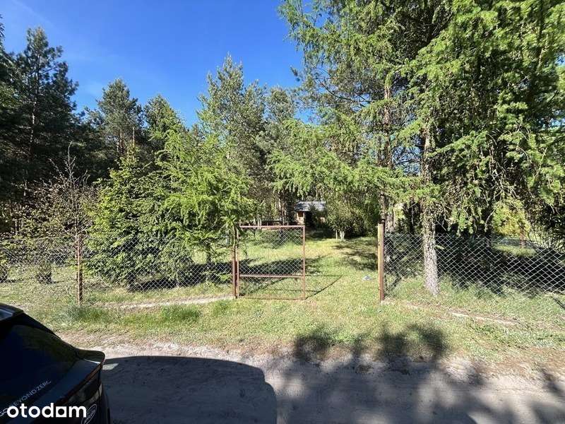 Działka budowlana Augustów 1000m² gm. Pionki - Pełny obrazek: 4/9