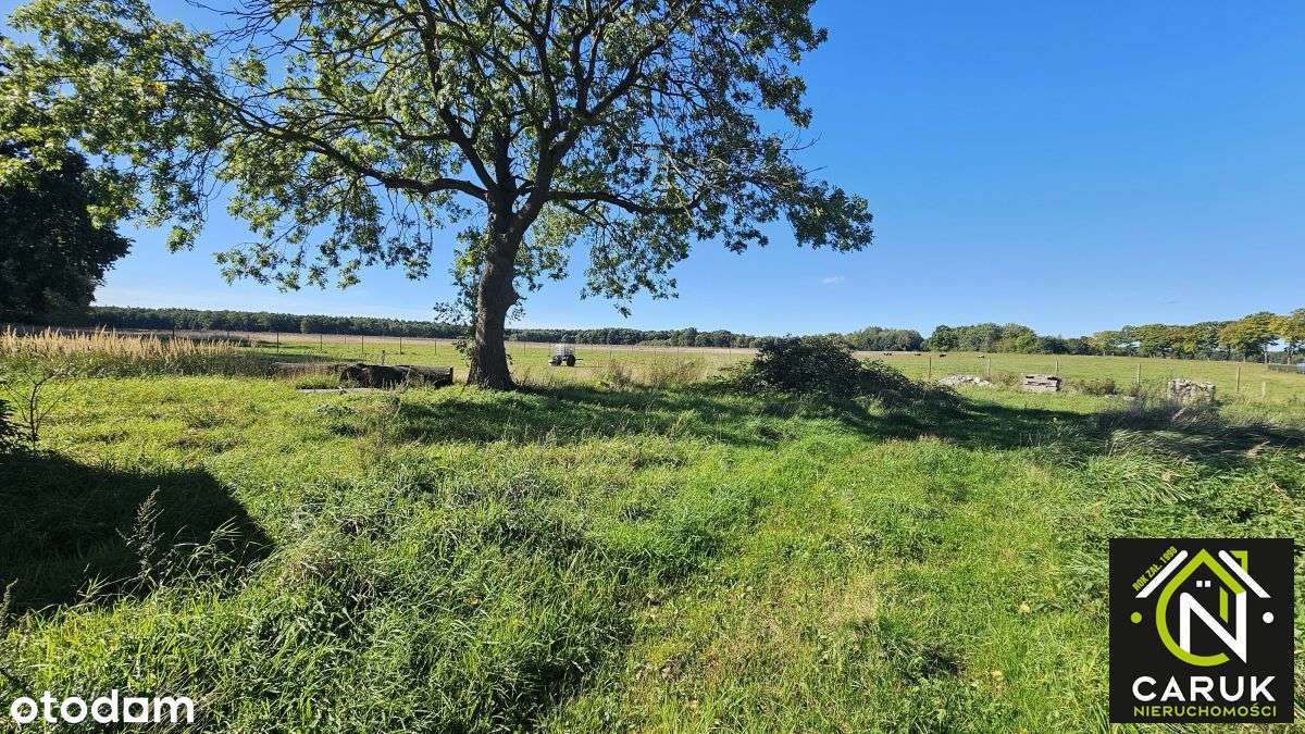 Dom Wolnostojący Na Dużej Działce Do Remontu-8