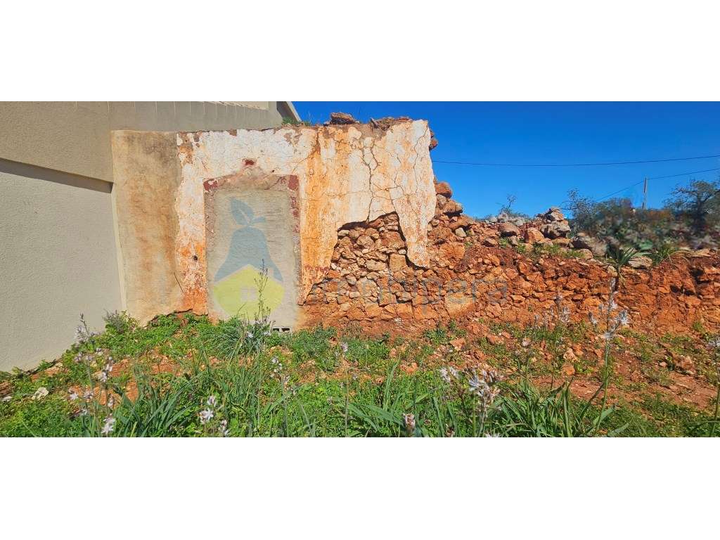 Terreno Plano com 12.040m2 com Ruína á venda no Barrocal - Grande imagem: 4/14