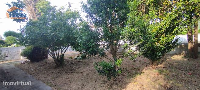 Moradia Térrea T3 de 4 Frentes em Silvalde com Terreno de 756 m²-22