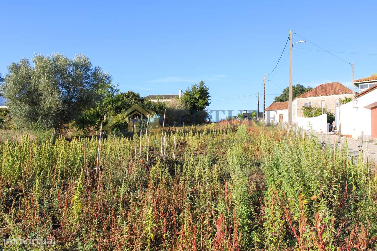 Terreno  Venda em Bombarral e Vale Covo,Bombarral-12
