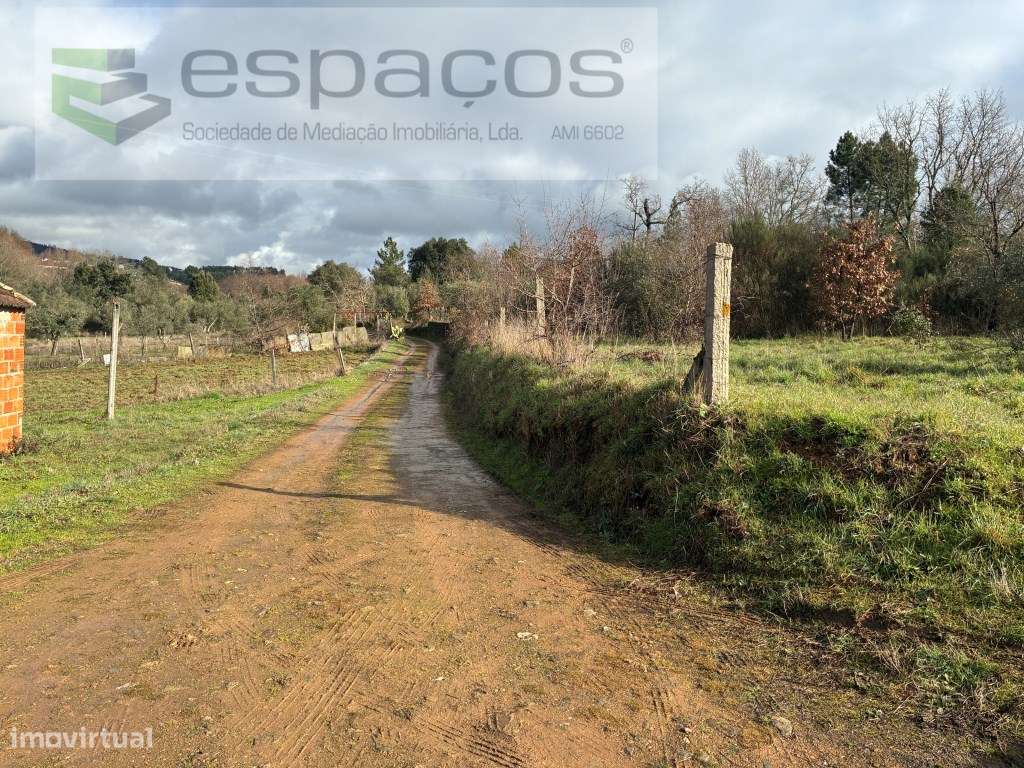 Magnifica Quinta a confinar com Rio Zêzere-14