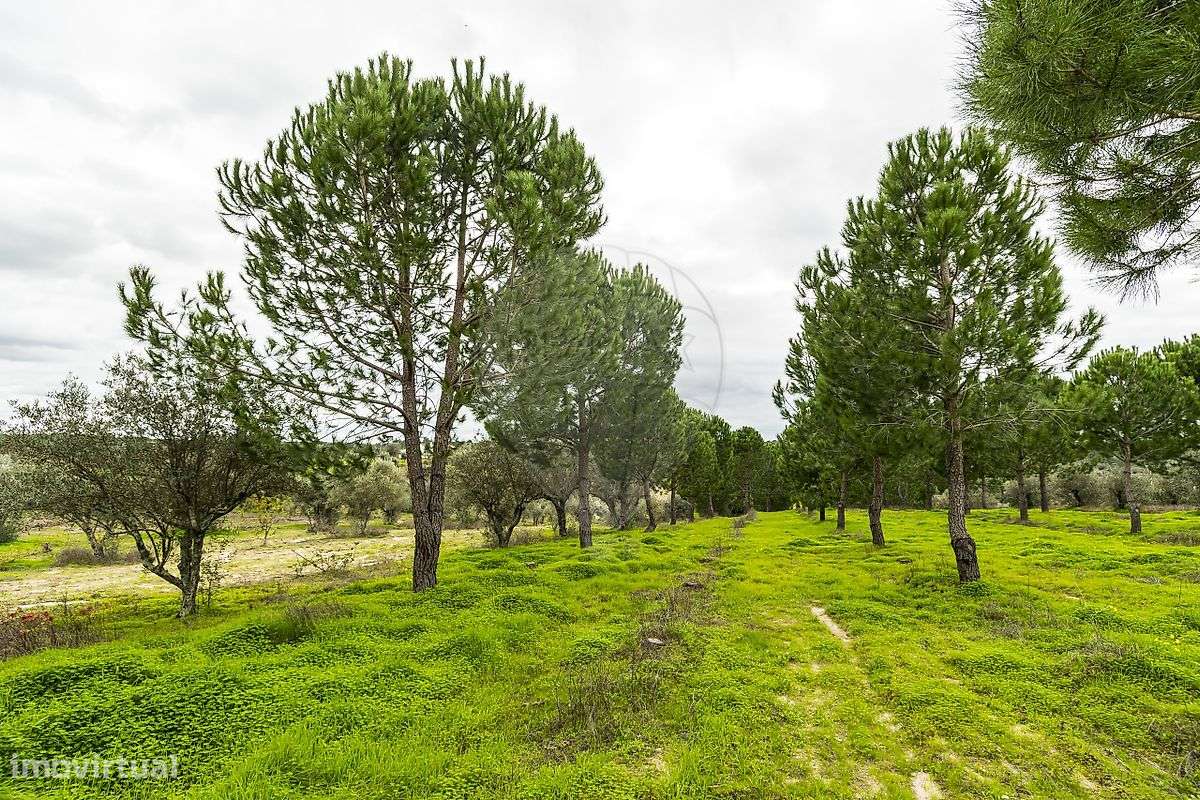 Terreno  para venda - Grande imagem: 2/10