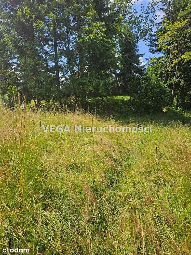 Na Sprzedaż Działka Budowlana W Zakopanem - Pełny obrazek: 4/7