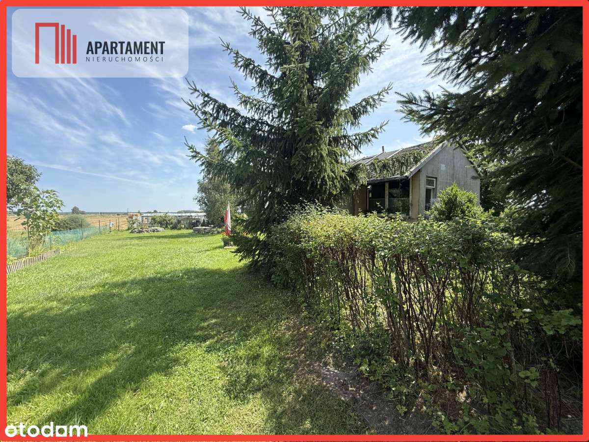 Ostatnia działka budowlana w Nowym Gronowie. - Pełny obrazek: 5/8