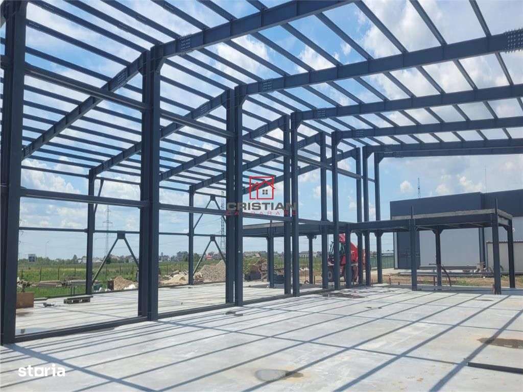 Vanzare depozithalaspatiu industrial Domnesti - Centura, Ilfov - Imagine principală: 2/20