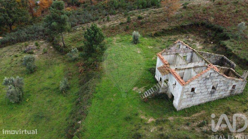 Terreno em Seixo da Beira de 17000,00 m2 - Grande imagem: 4/8