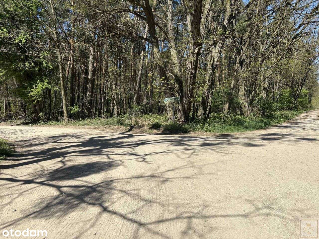 Codzienny zapach lasu za oknem może być Twój-12