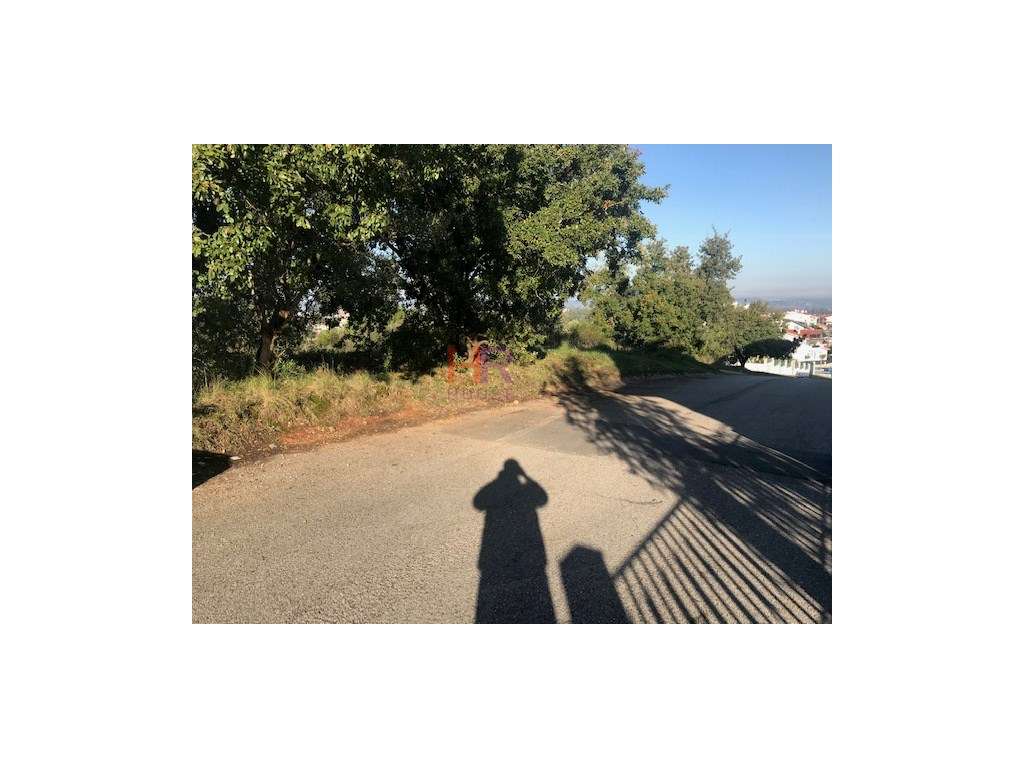 Alqueves-Terreno para construção com 5000m2 - Grande imagem: 5/10