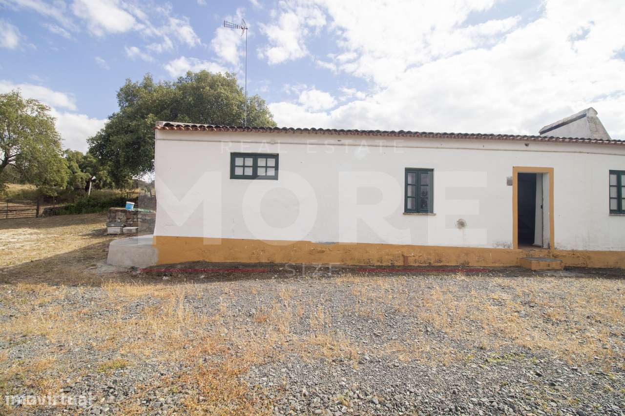 Herdade - Alvito-15