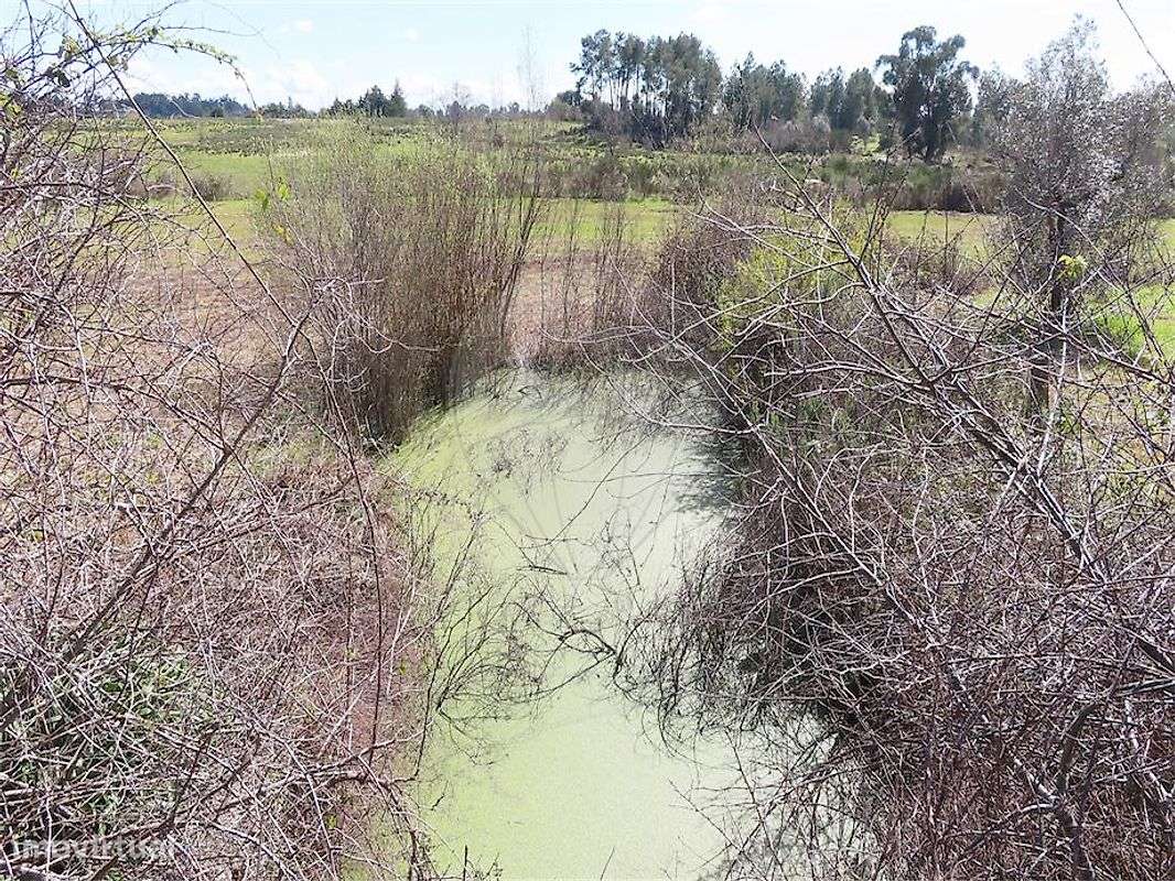 Quinta  para venda - Grande imagem: 4/37