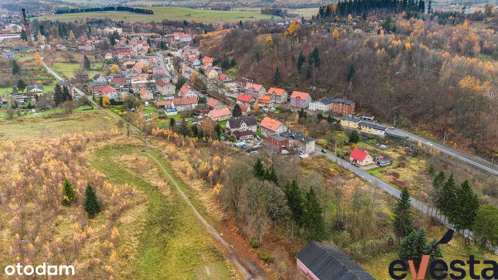 Przemysłowo-usługowa/Mpzp/0,5ha/Głuszyca - Pełny obrazek: 4/7